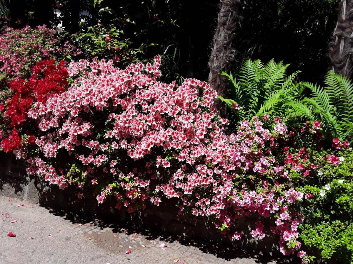Appartamento Coris Magnolia Merano