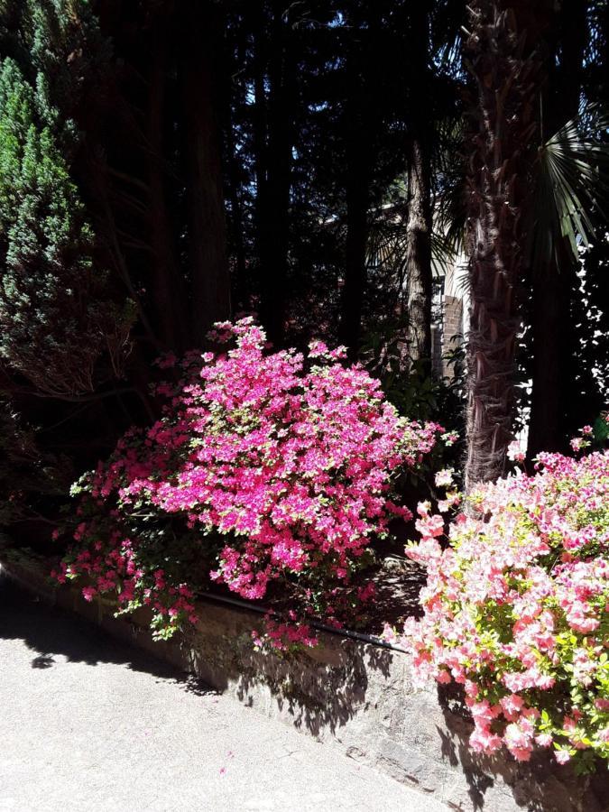Coris Magnolia Appartamento *