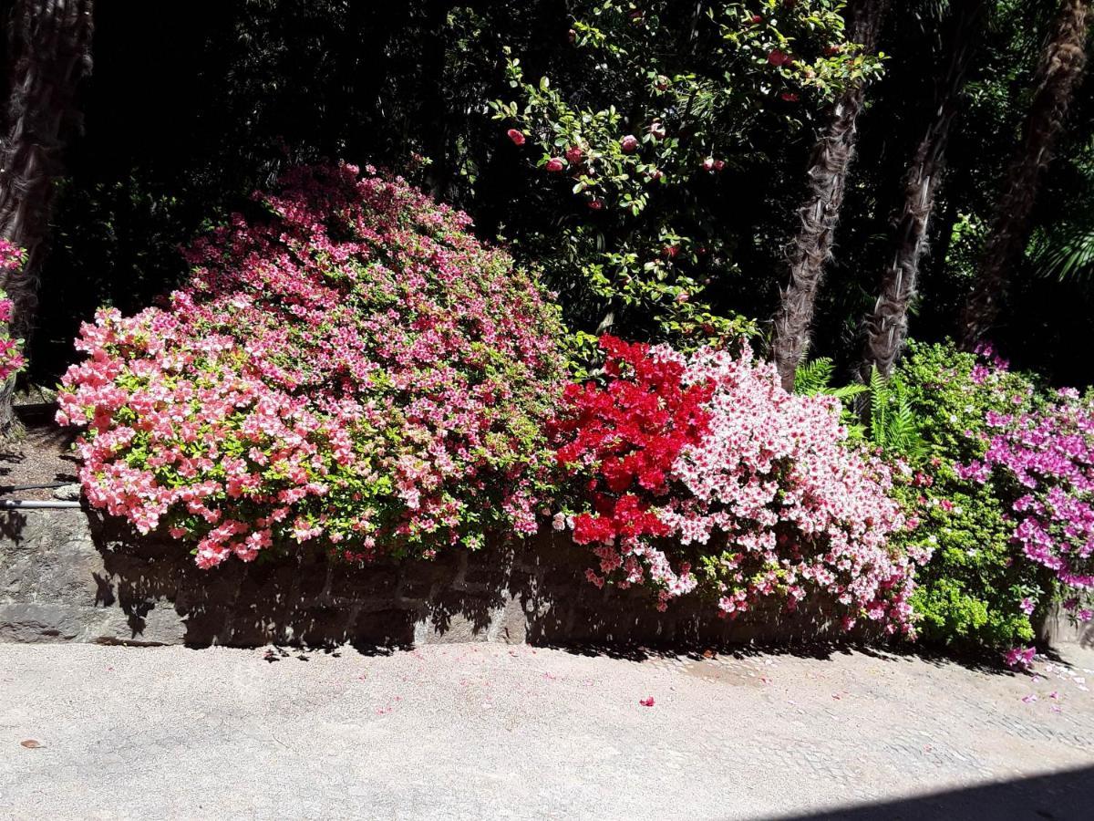 Coris Magnolia Appartamento Merano